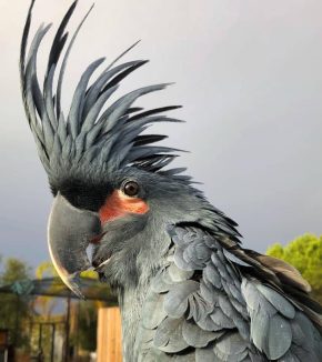 WhatsApp Image 2024-06-04 at 10.02.11 AM-2