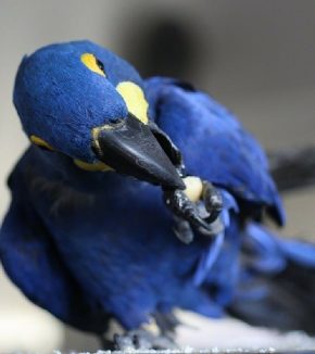 WhatsApp Image 2024-06-04 at 3.51.44 PM